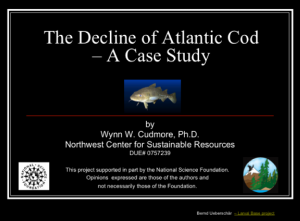 Screenshot for NCSR: The Decline of Atlantic Cod - A Case Study