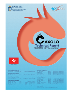 Screenshot for AXOLO : Technical Report