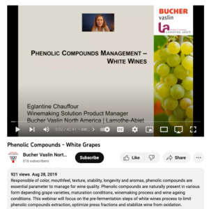 Screenshot for Phenolic Compounds: White Grapes