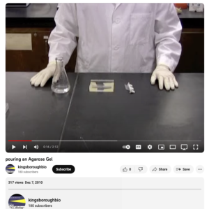 Screenshot for Pouring an Agarose Gel