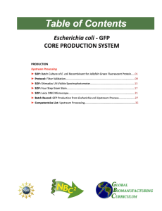 Screenshot for Escherichia coli - GFP Core Production System Laboratory Manual