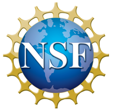 The graphic NSF Logo