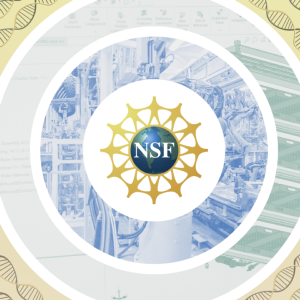 Image of NSF logo